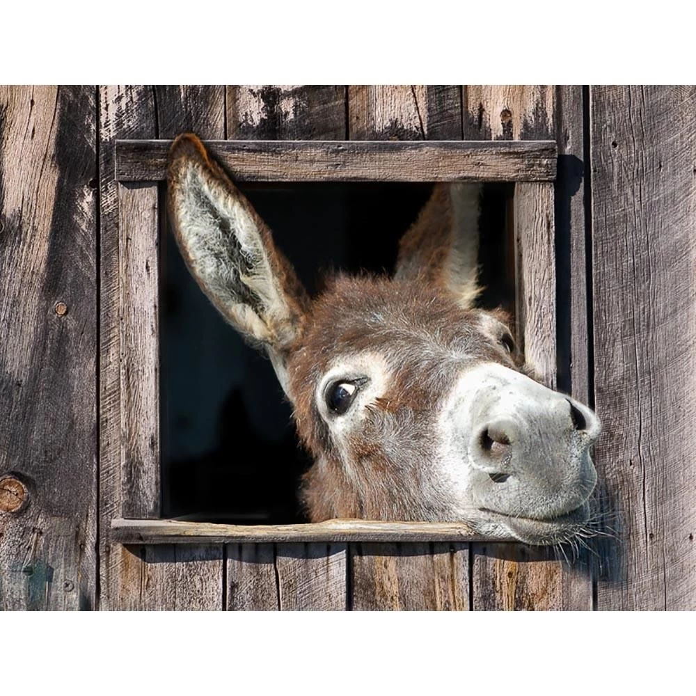 All Seasons Postersezel 80 x 60 tuinposter All Seasons Postersezel 80 X 60 Tuinposter -Tuinmeubilair 119439 505 01 1