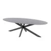 4 Seasons OutdoorPrivada Tuintafel Ellipse 240 X 107 Anthracite -Tuinmeubilair 152178 000 01